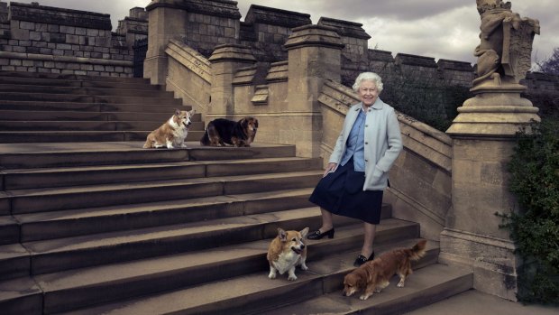 Showing the Queen when she is most at ease on the steps at the rear of the East Terrace and East Garden with four of her beloved corgis and dorgis.