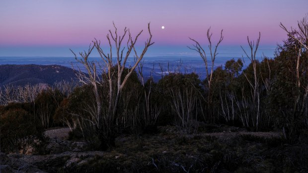 At the summit of Mt Coree at sunset.