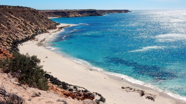 Dirk Hartog Island's Turtle Bay.