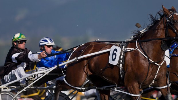 Four people have been charged over harness race fixing in Victoria.