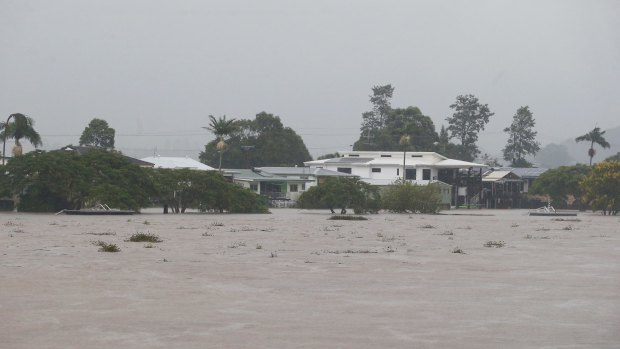 Semi-submerged homes along the Tweed River at Murwillumbah.