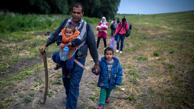 A group of Syrian migrants in Serbia walk towards the border with Hungary on Thursday. 