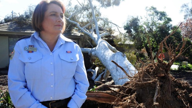 Acting chief of the ACT SES Tracey Allen said the recent rain was to blame for dozens of trees falling across Canberra. 