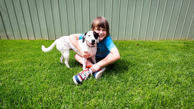 Lewis Hook, 9, is reunited with his Jack Russell, Ophelia, at the Lost Dogs' Home. 