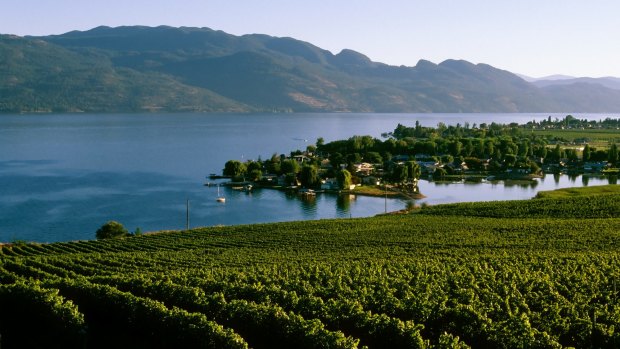 Many wineries overlook Lake Okanagan. 