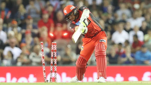 Skittled: Renegades' Brad Hodge is clean bowled.