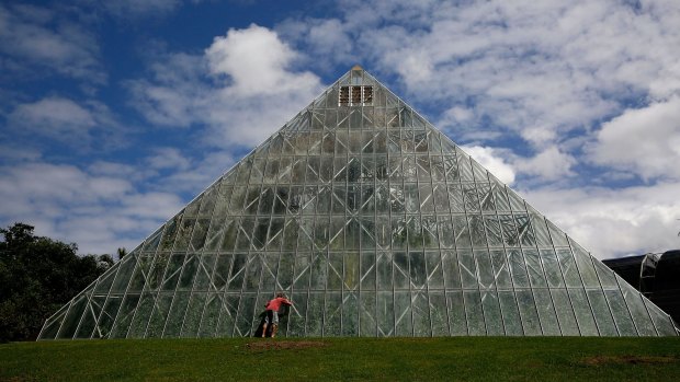 A tourist looks into the tropical pyramid at the Royal Botanic Gardens in Sydney.