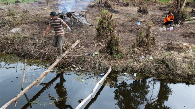 Villagers in Pelalawan use small fires to clear land for a vegetable garden.