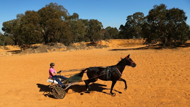 Kerryn Manning trains Arden Rooney  at her Great Western property.