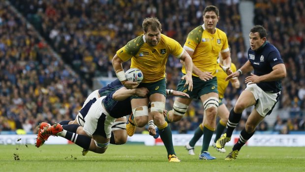 Surprise selection: Ben McCalman has ousted back-row regular Scott Fardy from the Wallabies' starting line-up for Saturday's Bledisloe Cup Test against the All Blacks.