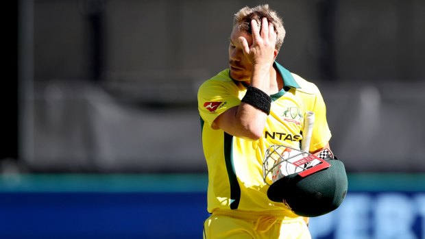 David Warner has struggled to make runs in the ODI series against England.