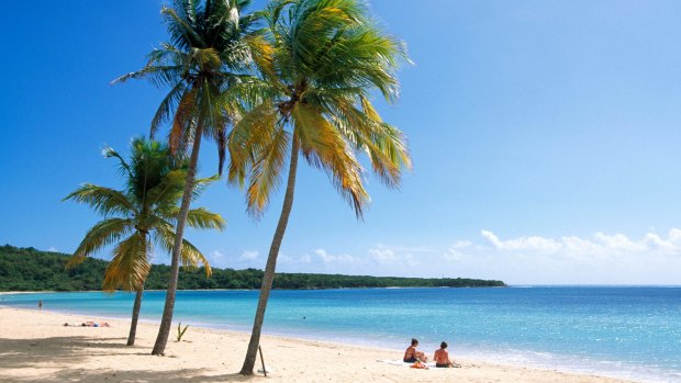 A pristine beach on Vieques Island.