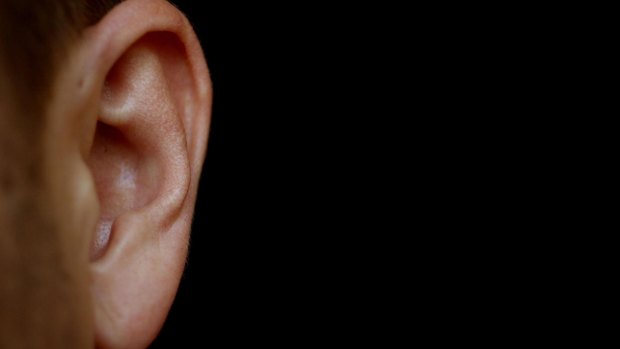 A teenager has had part of his ear bitten off during a fight outside a Gold Coast nightclub.