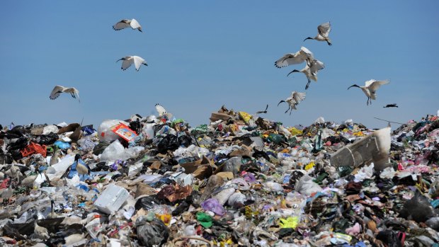 In NSW, the government charges companies $138 a tonne to dispose their waste. In Queensland, it costs nothing.