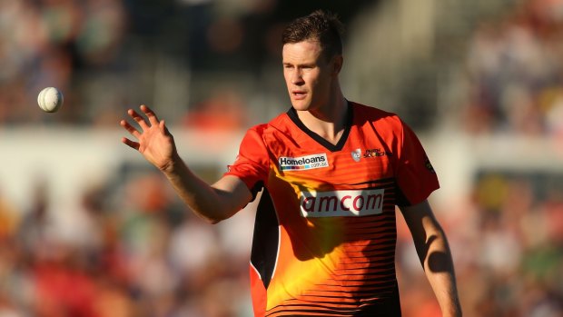 Jason Behrendorff could be called into the Australian Test squad if Mitchell Starc is unable to play.