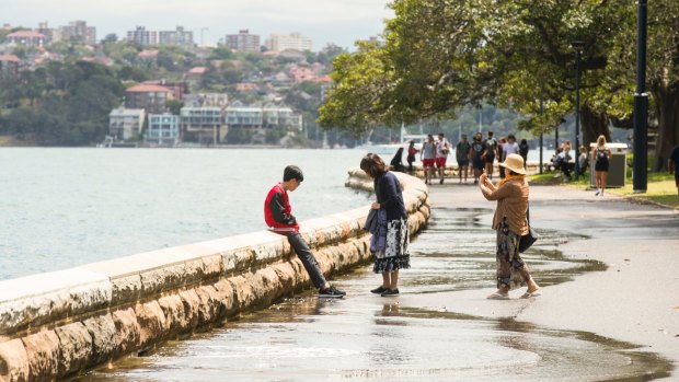 High tide flooded the footpath at the Royal Botanic Gardens in Sydney on Tuesday. 