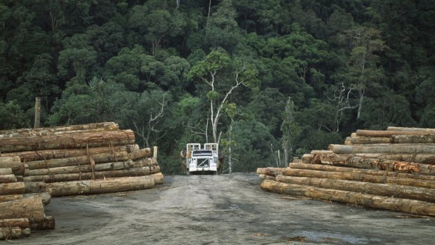 Deforestation along Rajang River,  Sarawak.