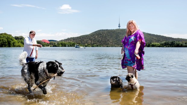 Belinda Barlow of Mawson (front), and Graeme Jackson of Phillip have only recently became Lake Burley Griffin regulars but now often enjoy cooling down in the water at Orana Bay, Yarralumla.
