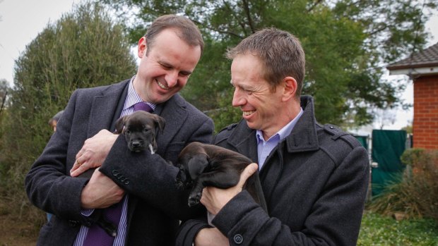 Andrew Barr and Shane Rattenbury meet puppies at the RSPCA in Weston.