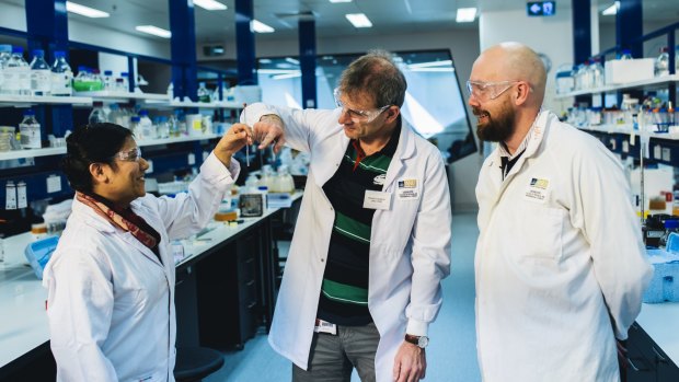 The ANU's Soumya Joseph, Richard Callaghan and Damien Hall share their progress in creating synthetic life. 