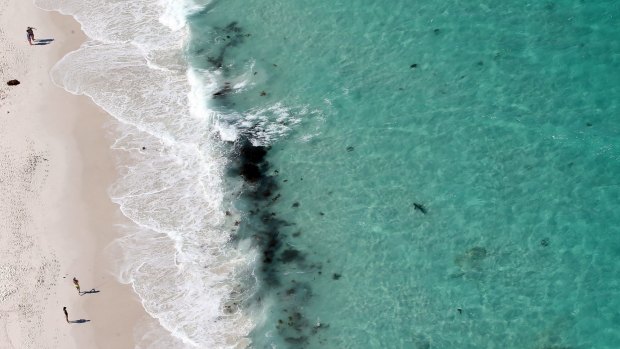 The Bendigo Bank Aerial Patrol spotted the sharks close to shore.