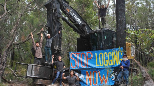 The activists successfully stopped the logging in Helms Forest, near Nannup, on Monday. 