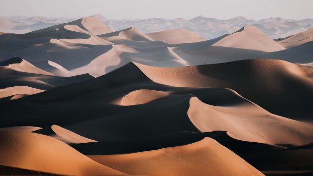Here is a seemingly endless desert landscape, a place which transforms and glows with the ever-changing light. Sweeping sand dunes fill the view in every direction and remind us of how even in the harshest of landscapes, life can be found.