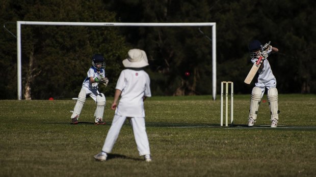 The Leichhardt Wanderers take on the Lower North Shore All Stars in the under-10s winter cricket semi-final at Flockhart Park, Croydon.