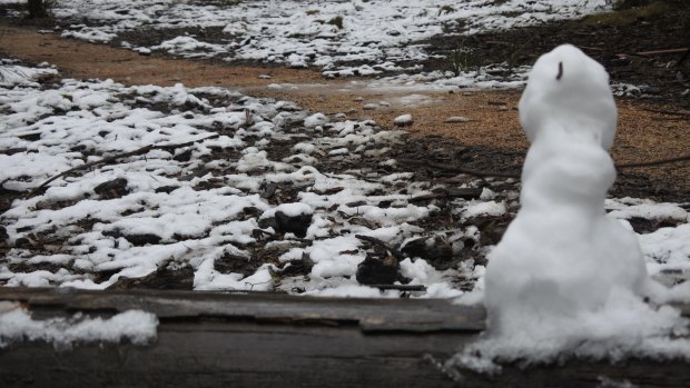 It might be spring, but that hasn't stopped snow falling in the ACT.