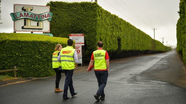 National Union of Workers execute a court-ordered raid at Lamattina farms on the Mornington Peninsula.