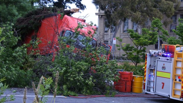 The driver of an Australia Post van was taken to hospital after the van ran off the road and hit a tree early Wednesday morning