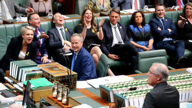 Bill Shorten and his frontbench laugh as Scott Morrison approaches the despatch box during Question Time.