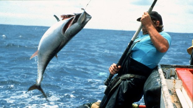 Tuna catches may be fewer under climate change.
