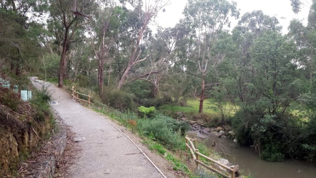 Dandenong Creek offers a leisurely escape from city living.