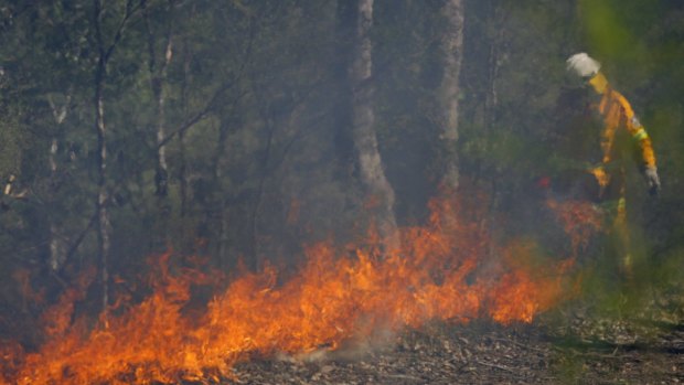 A Rural Fire Service member carries out hazard reduction burns.