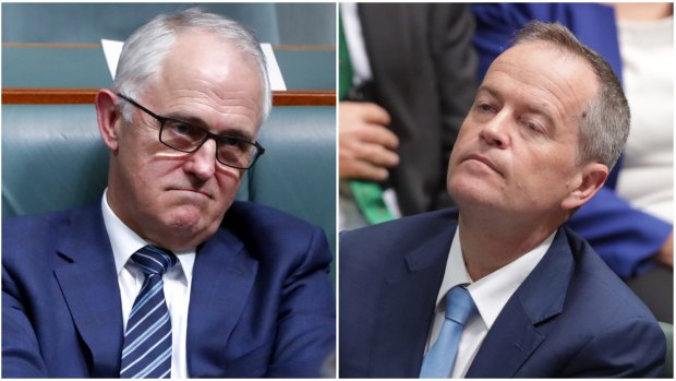 Prime Minister Malcolm Turnbull and Opposition Leader Bill Shorten should agree to audit the citizenship status of all MPs.