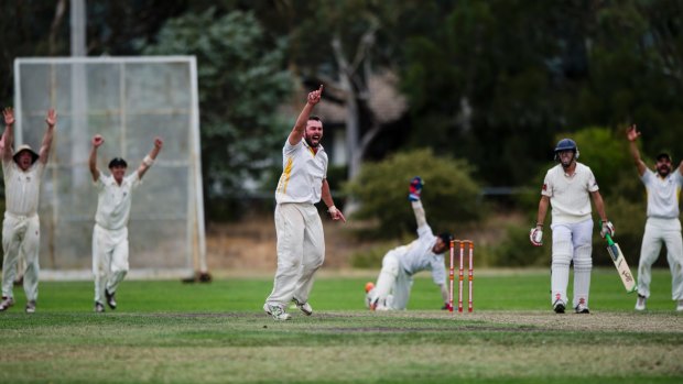 Cricket ACT Douglas Cup: Ginninderra v Queanbeyan. Ginninderra's Mick Delaney celebrates the wicket, as Queanbeyan's James Dimarchos gets out. Photo: Jamila Toderas