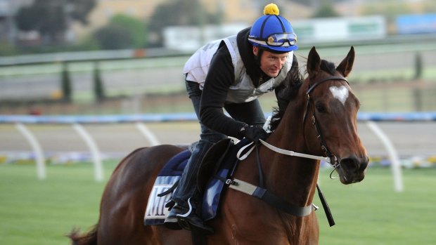 Odds and ends: The world's top sprinter, Lankan Rupee, is back to his best for Saturday's Darley Classic.