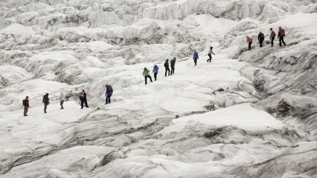 Ice walkers on the Athabasca Glacier.