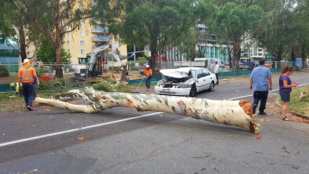 A tree hit a car on Northbourne Avenue during the sudden windstorm.