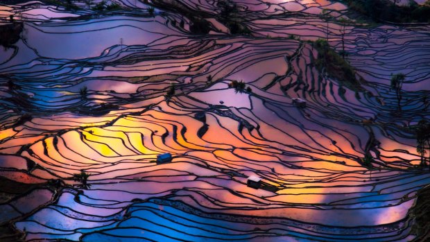 Stunning rice terraces in southeastern Yunnan province.
