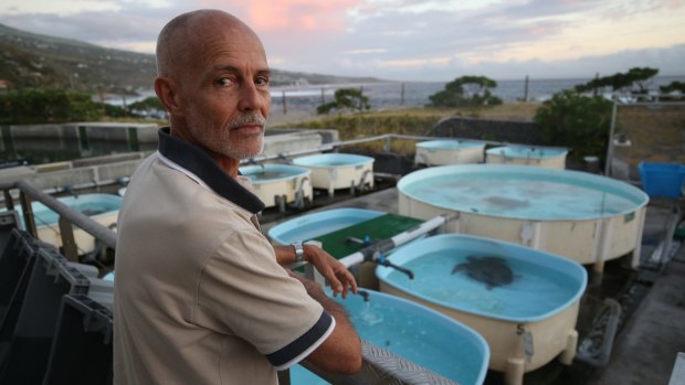 Kelonia director Stephane Ciccione at the turtle sanctuary on Reunion Island.