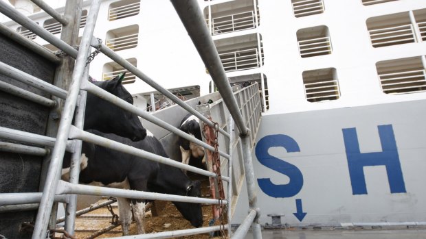 Shares in livestock exporter Wellard spent most of their first day on the ASX in negative territory before closing flat at $1.39.  