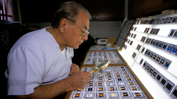 Brazilian plastic surgeon Ivo Pitanguy looks through a row of photographic slides in preparation for a surgery in his hospital in Rio in November 2000. 
