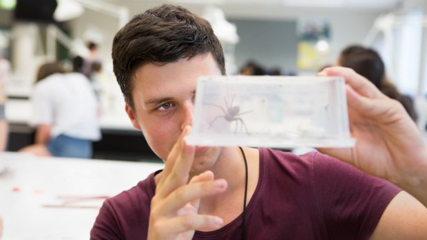 Adelaide 16-year-old Kingsley Rosman attended the National Youth Science Forum in Canberra.