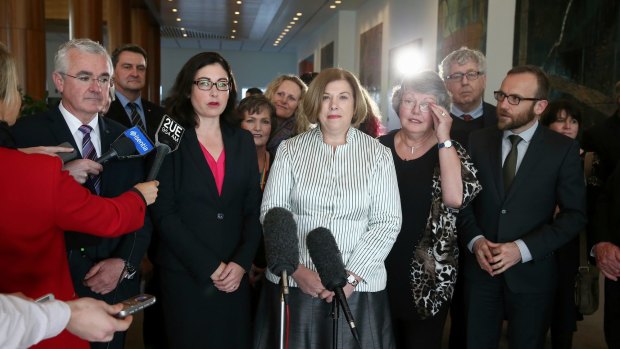 Co-sponsors of the cross-party marriage equality bill during a doorstop interview at Parliament House in Canberra.