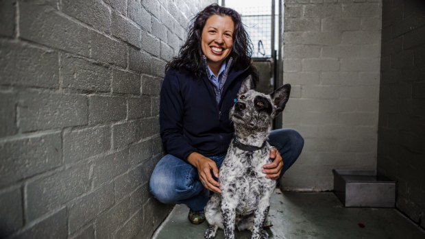 RSPCA ACT chief executive Tammy Ven Dange with Rosie an Australian cattle dog who is deaf and needs a new home.