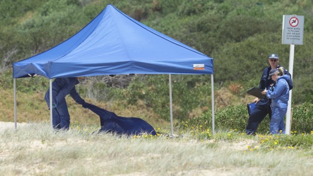 A crime scene has been established on the southern end of Maroubra Beach.