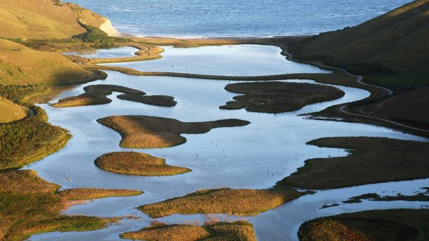 NBW's work on transforming the Orongo Station included a restored wetlands area.