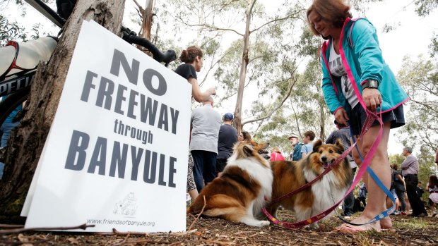 Dogs and their owners gathered at a park in Balwyn North to protest the planned road project.
